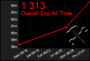 Total Graph of 1 313