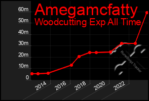 Total Graph of Amegamcfatty