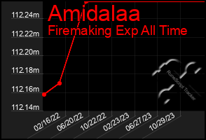 Total Graph of Amidalaa