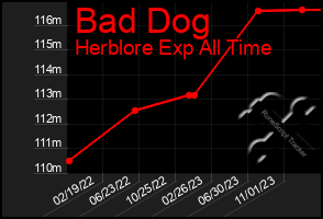 Total Graph of Bad Dog