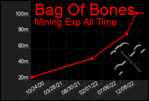 Total Graph of Bag Of Bones