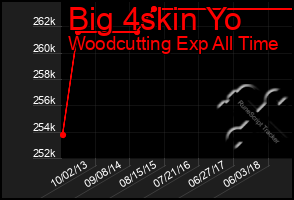 Total Graph of Big 4skin Yo