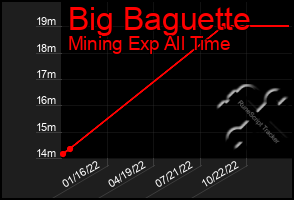 Total Graph of Big Baguette