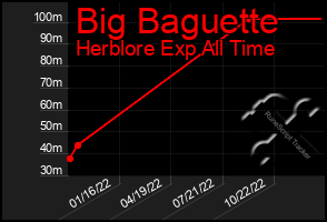 Total Graph of Big Baguette