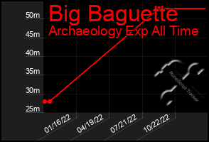 Total Graph of Big Baguette