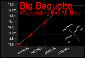 Total Graph of Big Baguette