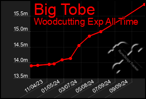 Total Graph of Big Tobe