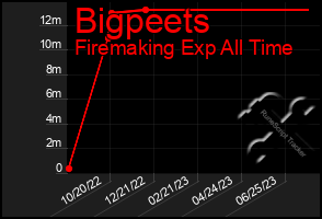 Total Graph of Bigpeets