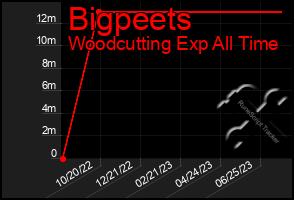 Total Graph of Bigpeets