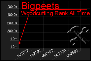 Total Graph of Bigpeets