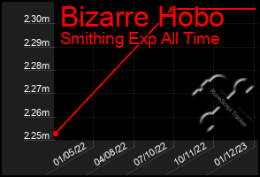 Total Graph of Bizarre Hobo