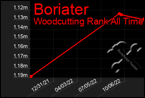 Total Graph of Boriater