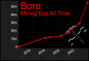 Total Graph of Boro