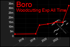 Total Graph of Boro