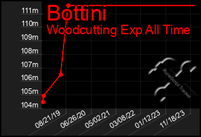 Total Graph of Bottini