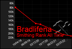 Total Graph of Bradlifena