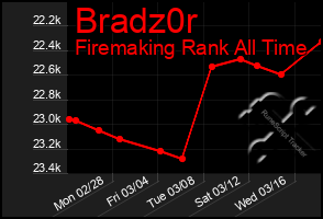 Total Graph of Bradz0r