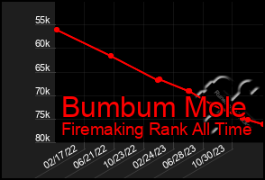 Total Graph of Bumbum Mole