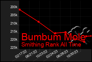 Total Graph of Bumbum Mole