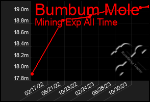 Total Graph of Bumbum Mole