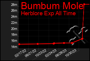 Total Graph of Bumbum Mole