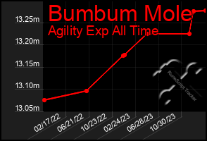 Total Graph of Bumbum Mole