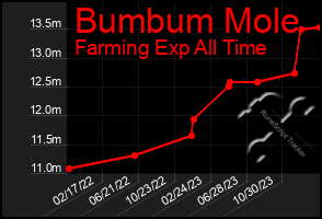 Total Graph of Bumbum Mole