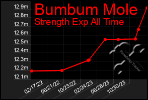 Total Graph of Bumbum Mole