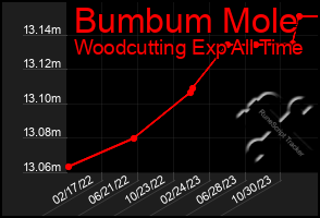 Total Graph of Bumbum Mole