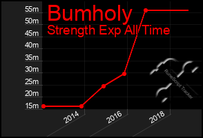 Total Graph of Bumholy