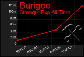 Total Graph of Burigoo