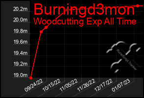 Total Graph of Burningd3mon