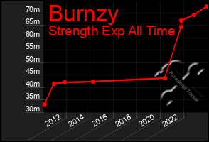 Total Graph of Burnzy