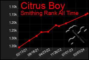 Total Graph of Citrus Boy