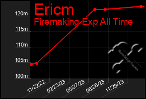 Total Graph of Ericm