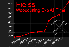 Total Graph of Fielss