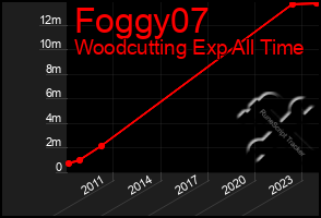 Total Graph of Foggy07