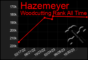 Total Graph of Hazemeyer