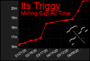 Total Graph of Its Triggy