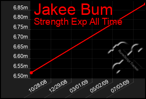 Total Graph of Jakee Bum