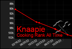 Total Graph of Knaapie