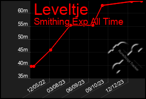 Total Graph of Leveltje