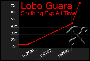 Total Graph of Lobo Guara