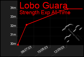 Total Graph of Lobo Guara