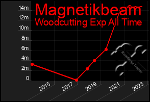 Total Graph of Magnetikbeam