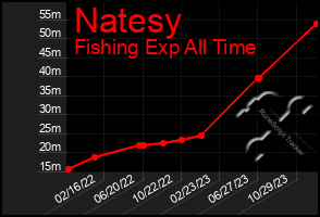 Total Graph of Natesy