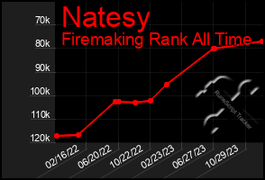 Total Graph of Natesy