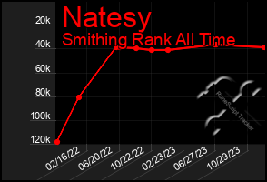 Total Graph of Natesy