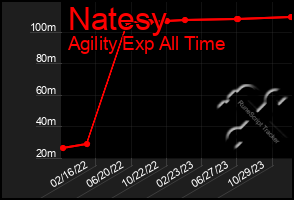 Total Graph of Natesy