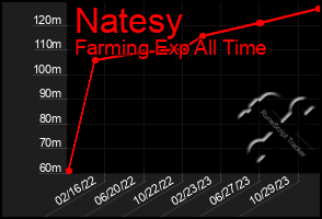 Total Graph of Natesy